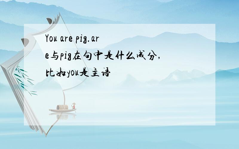 You are pig.are与pig在句中是什么成分,比如you是主语