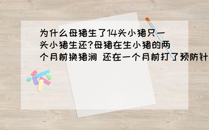 为什么母猪生了14头小猪只一头小猪生还?母猪在生小猪的两个月前换猪涧 还在一个月前打了预防针