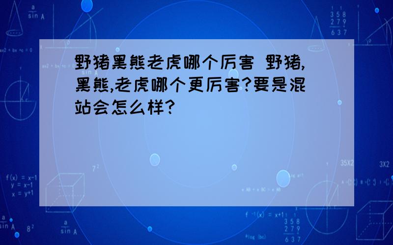 野猪黑熊老虎哪个厉害 野猪,黑熊,老虎哪个更厉害?要是混站会怎么样?