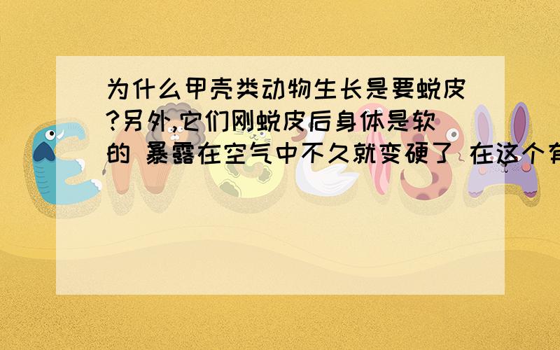 为什么甲壳类动物生长是要蜕皮?另外,它们刚蜕皮后身体是软的 暴露在空气中不久就变硬了 在这个有软变硬的过程中都发生了那些化学变化?