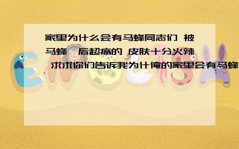 家里为什么会有马蜂同志们 被马蜂蛰后超痛的 皮肤十分火辣 求求你们告诉我为什俺的家里会有马蜂?55555555……