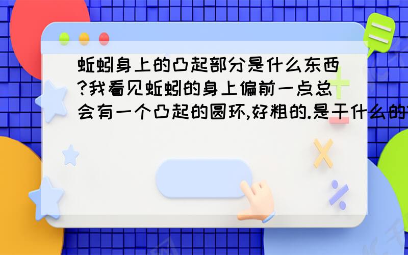 蚯蚓身上的凸起部分是什么东西?我看见蚯蚓的身上偏前一点总会有一个凸起的圆环,好粗的.是干什么的?