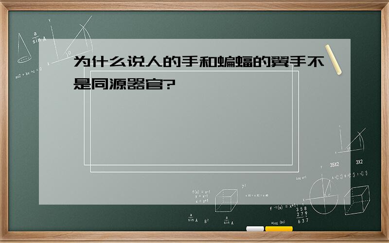 为什么说人的手和蝙蝠的翼手不是同源器官?