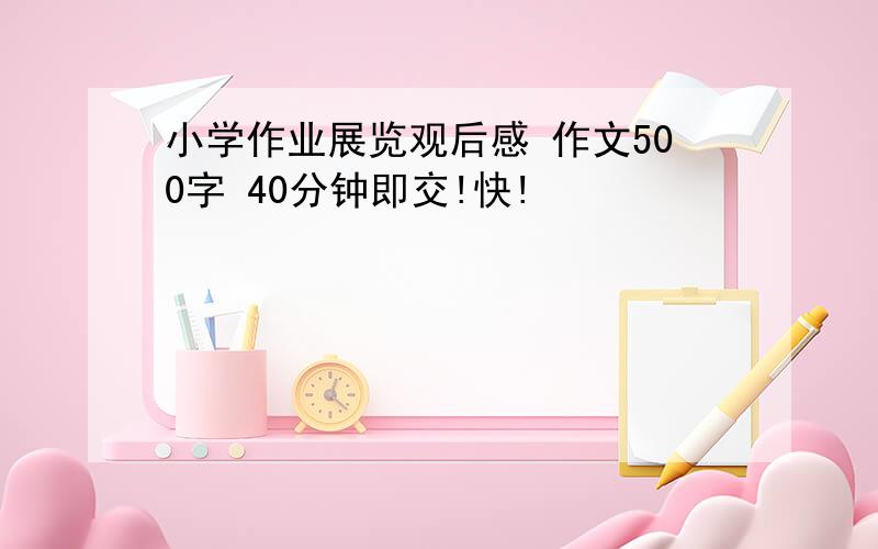 小学作业展览观后感 作文500字 40分钟即交!快!