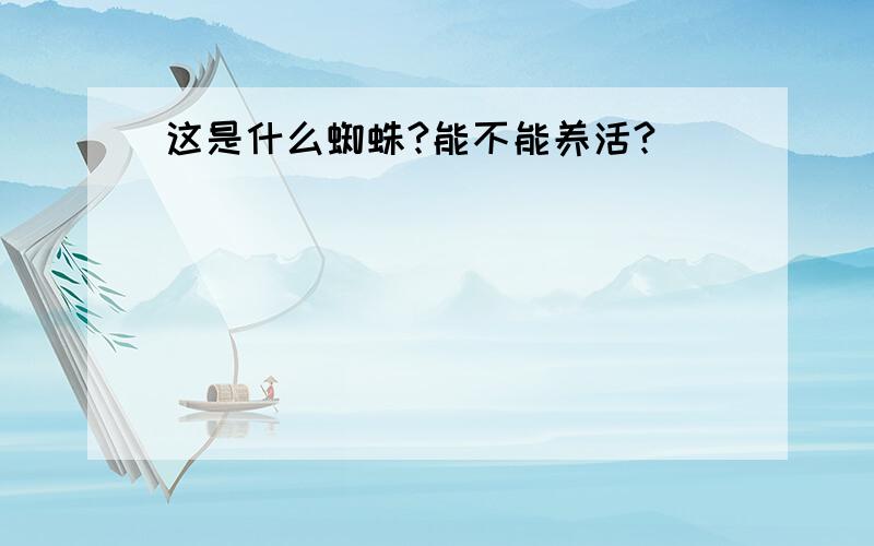 这是什么蜘蛛?能不能养活?