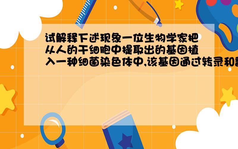 试解释下述现象一位生物学家把从人的干细胞中提取出的基因植入一种细菌染色体中,该基因通过转录和翻译合成蛋白质.然而这种在细菌体内合成的蛋白质在氨基酸序列上发生了很大变化,与