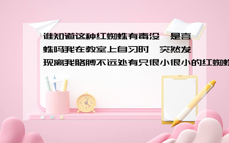 谁知道这种红蜘蛛有毒没,是喜蛛吗我在教室上自习时,突然发现离我胳膊不远处有只很小很小的红蜘蛛,全身是红色,很小感觉可能是刚被生下没多久,怎么会在我桌子上呢?而且有毒没,我同学说