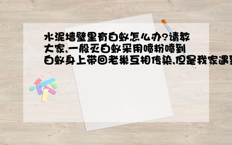 水泥墙壁里有白蚁怎么办?请教大家,一般灭白蚁采用喷粉喷到白蚁身上带回老巢互相传染,但是我家遇到这样的问题,不知道这样的方法管用吗?我家里以铝合金金属一类的装修为主,发现白蚁大