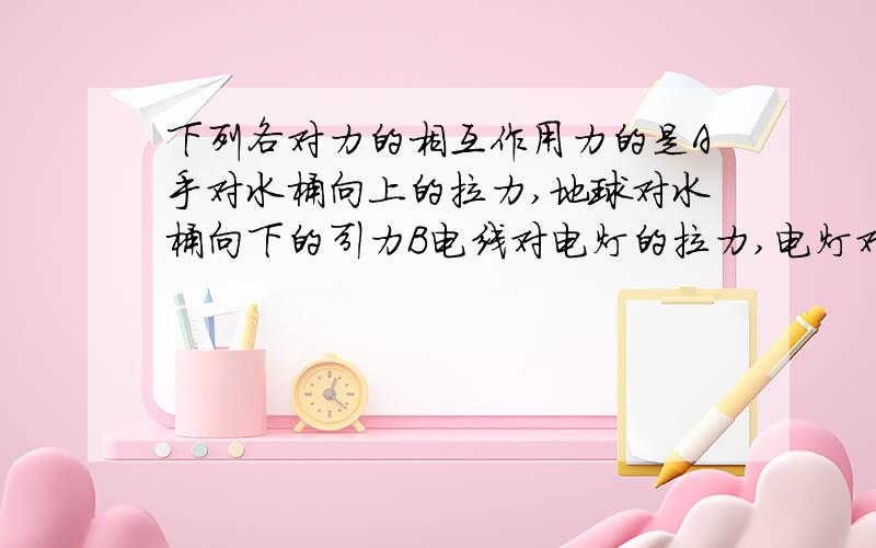 下列各对力的相互作用力的是A手对水桶向上的拉力,地球对水桶向下的引力B电线对电灯的拉力,电灯对电线的拉力C书对桌面的压力、地面对桌子的支持力D地面对车的阻力、车对地面的压力