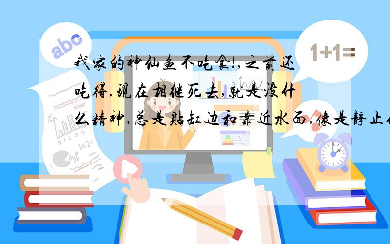 我家的神仙鱼不吃食!,之前还吃得.现在相继死去,就是没什么精神,总是贴缸边和靠近水面,像是静止似地不动.请问是什么原因这样啊!