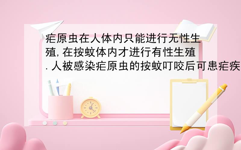 疟原虫在人体内只能进行无性生殖,在按蚊体内才进行有性生殖.人被感染疟原虫的按蚊叮咬后可患疟疾.在水中,按蚊幼虫(孑孓)以藻类和细菌为食,同时又被鱼类捕食.下列叙述错误的是 [ ] A．