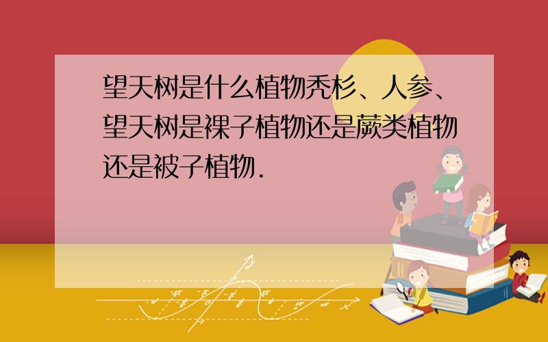 望天树是什么植物秃杉、人参、望天树是裸子植物还是蕨类植物还是被子植物.