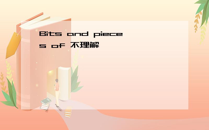 Bits and pieces of 不理解