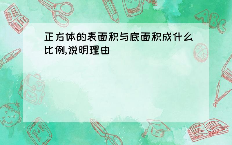 正方体的表面积与底面积成什么比例,说明理由