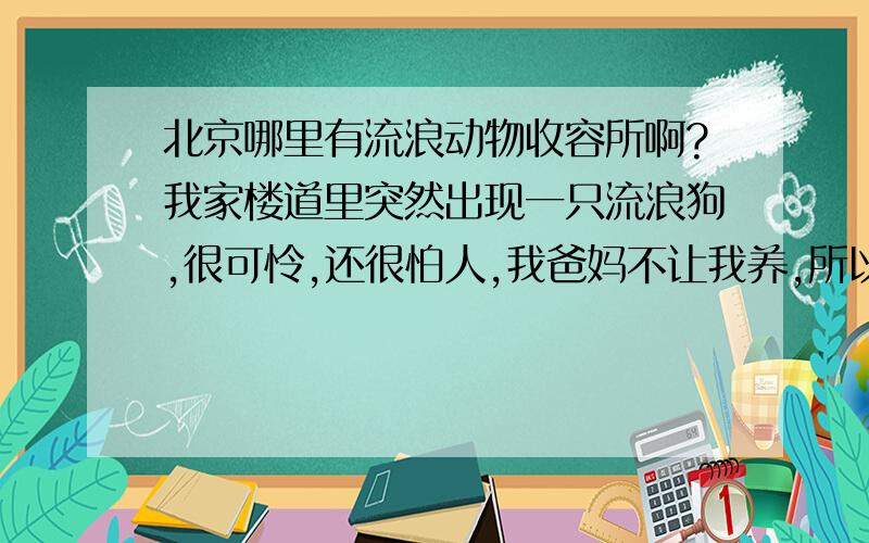 北京哪里有流浪动物收容所啊?我家楼道里突然出现一只流浪狗,很可怜,还很怕人,我爸妈不让我养,所以我想把它送到收容所,可我不知道哪里有收容所,大家帮我找找吧,