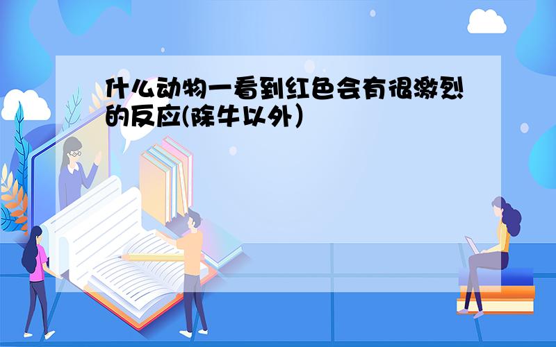 什么动物一看到红色会有很激烈的反应(除牛以外）