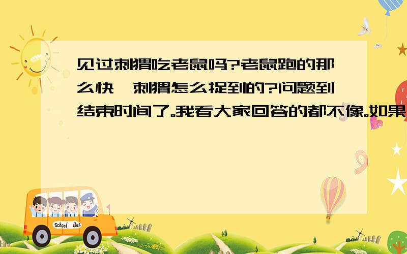 见过刺猬吃老鼠吗?老鼠跑的那么快,刺猬怎么捉到的?问题到结束时间了。我看大家回答的都不像。如果有谁知道，以后给我留言啊。谢谢。