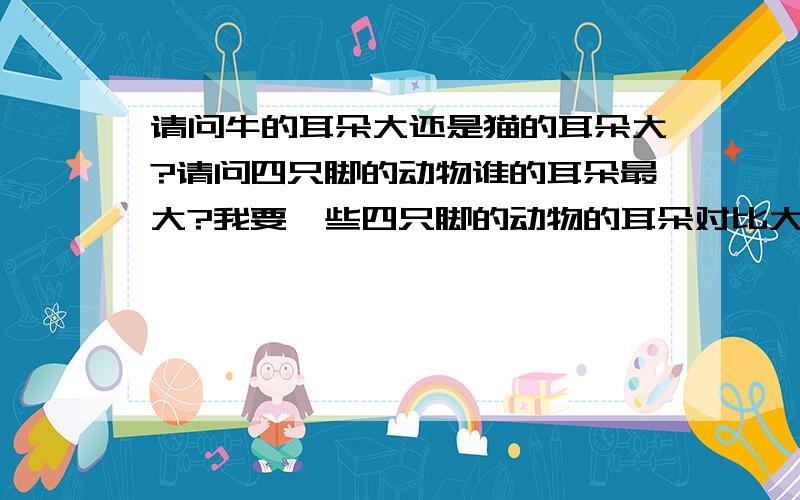 请问牛的耳朵大还是猫的耳朵大?请问四只脚的动物谁的耳朵最大?我要一些四只脚的动物的耳朵对比大小,要从大到小!帮我想一想!