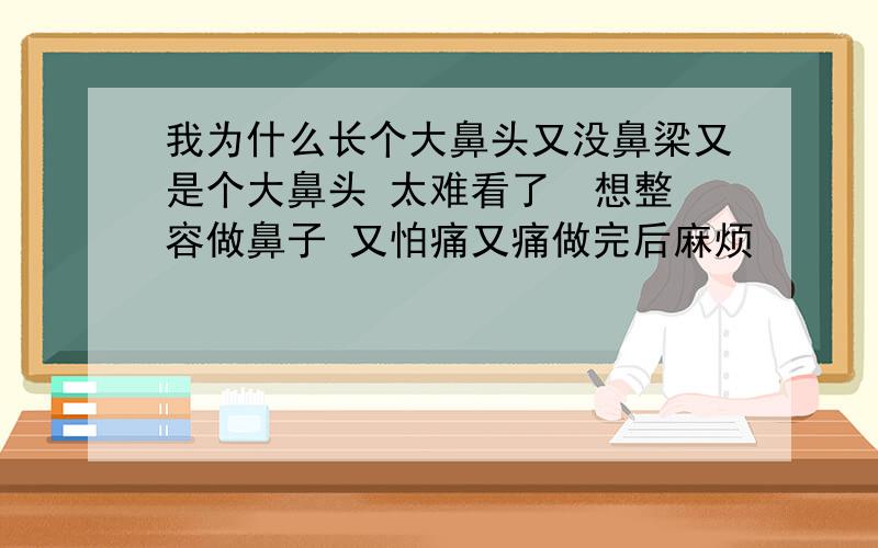 我为什么长个大鼻头又没鼻梁又是个大鼻头 太难看了  想整容做鼻子 又怕痛又痛做完后麻烦