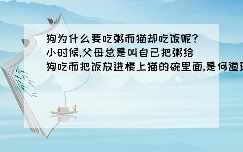 狗为什么要吃粥而猫却吃饭呢?小时候,父母总是叫自己把粥给狗吃而把饭放进楼上猫的碗里面,是何道理?有什么典故吗?