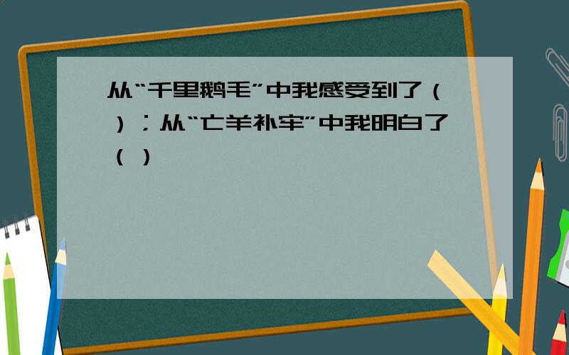 从“千里鹅毛”中我感受到了（）；从“亡羊补牢”中我明白了（）