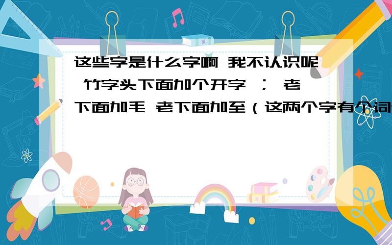 这些字是什么字啊 我不认识呢 竹字头下面加个开字 ； 老下面加毛 老下面加至（这两个字有个词语叫xx之年：指八九十岁的老人） ；闱 ；禾加念 ；鬓就是下面改为召 （上面是一样的 下面