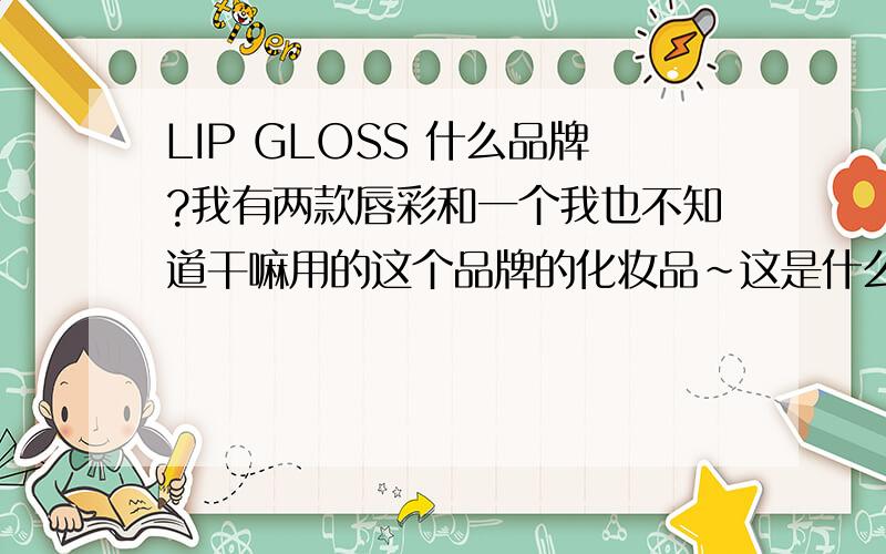 LIP GLOSS 什么品牌?我有两款唇彩和一个我也不知道干嘛用的这个品牌的化妆品～这是什么牌子?长见识了～看来该好好学好英文了!那LIP LINEF 是干嘛用的?前面写的是 THE GOLOR WORKSHOP