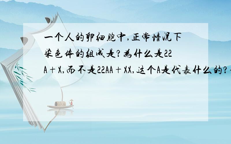 一个人的卵细胞中,正常情况下染色体的组成是?为什么是22A+X,而不是22AA+XX,这个A是代表什么的?谢谢22AA和22A的区别是什么?我觉的两个都表示22对常染色体,能告诉我他们的不同吗?谢谢