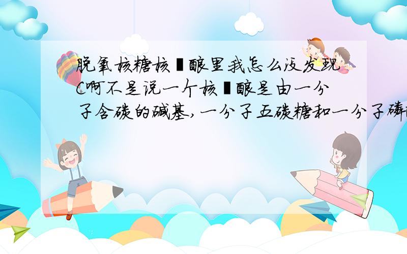 脱氧核糖核苷酸里我怎么没发现C啊不是说一个核苷酸是由一分子含碳的碱基,一分子五碳糖和一分子磷酸组成的吗.那个一份子五碳糖在哪啊.没有找到碳啊