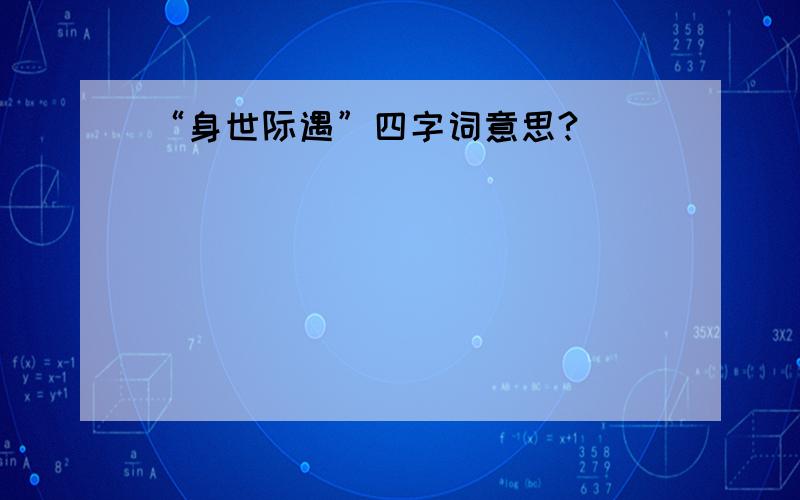 “身世际遇”四字词意思?