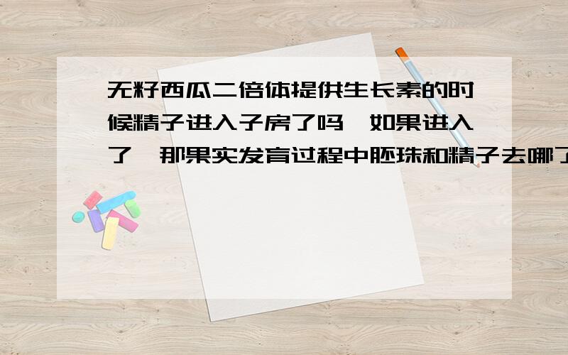 无籽西瓜二倍体提供生长素的时候精子进入子房了吗,如果进入了,那果实发育过程中胚珠和精子去哪了?还有无籽番茄的过程中,直接用生长素刺激子房,子房里面的胚珠去哪里了?胚珠里面未受