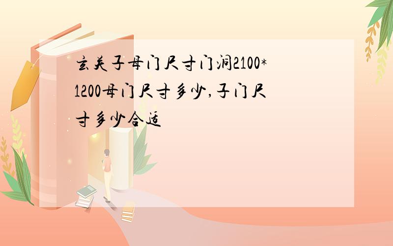 玄关子母门尺寸门洞2100*1200母门尺寸多少,子门尺寸多少合适