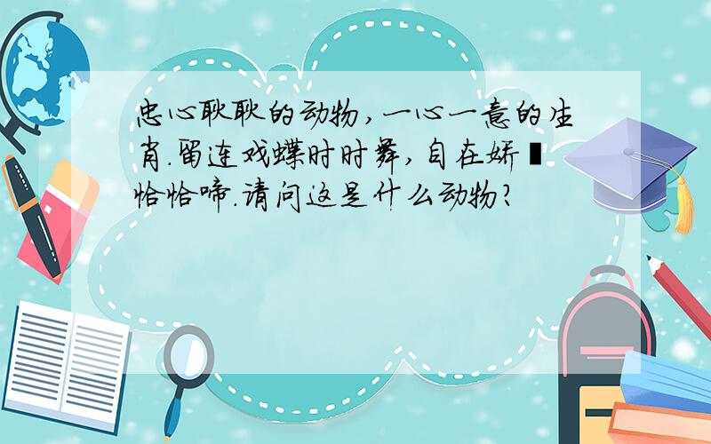 忠心耿耿的动物,一心一意的生肖.留连戏蝶时时舞,自在娇茑恰恰啼.请问这是什么动物?