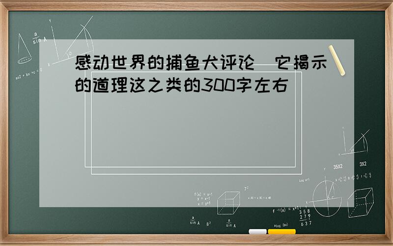 感动世界的捕鱼犬评论(它揭示的道理这之类的300字左右)