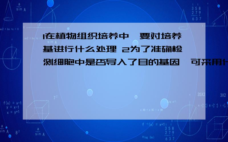 1在植物组织培养中,要对培养基进行什么处理 2为了准确检测细胞中是否导入了目的基因,可采用什么做探针与基因组DNA杂交