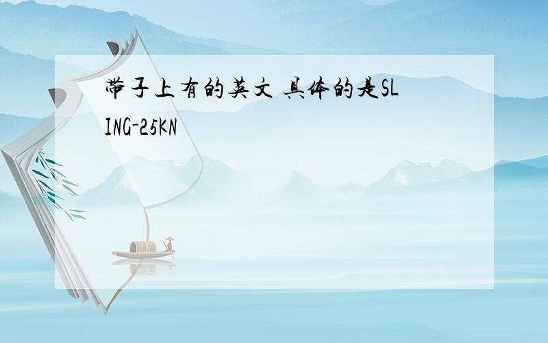 带子上有的英文 具体的是SLING-25KN