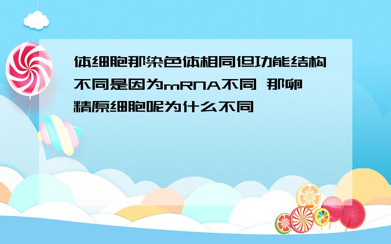 体细胞那染色体相同但功能结构不同是因为mRNA不同 那卵精原细胞呢为什么不同