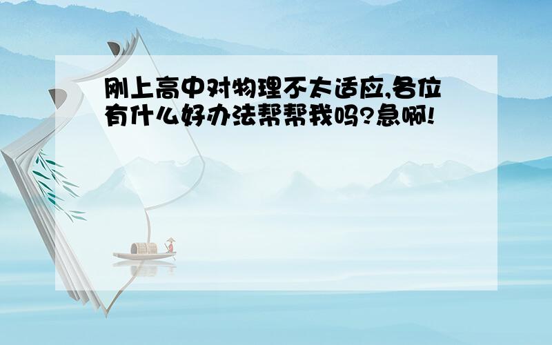 刚上高中对物理不太适应,各位有什么好办法帮帮我吗?急啊!