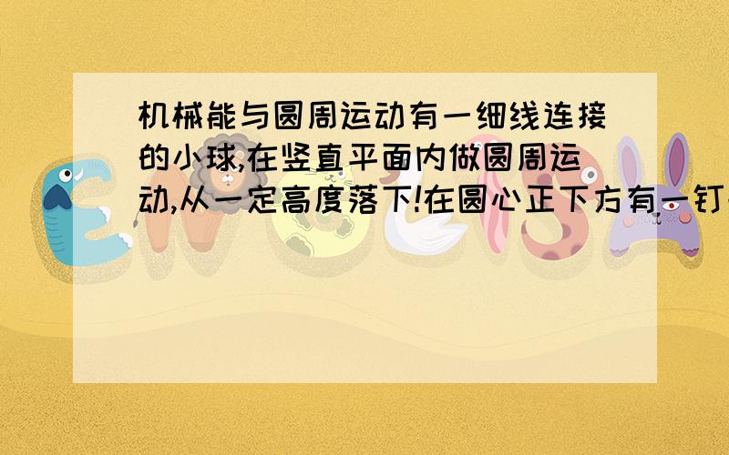 机械能与圆周运动有一细线连接的小球,在竖直平面内做圆周运动,从一定高度落下!在圆心正下方有一钉子,细声达到上面后改变了圆运动半径,不考虑碰撞时的能量损失,则在这个运动中,机械能