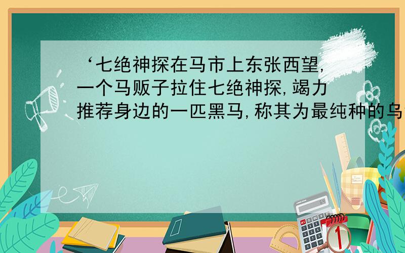 ‘七绝神探在马市上东张西望,一个马贩子拉住七绝神探,竭力推荐身边的一匹黑马,称其为最纯种的乌锥马.’这是小说的一段.这里面的‘乌锥马’是什么意思?