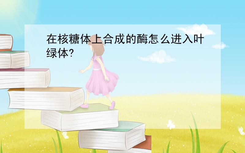 在核糖体上合成的酶怎么进入叶绿体?