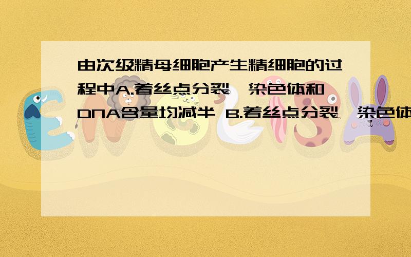 由次级精母细胞产生精细胞的过程中A.着丝点分裂,染色体和DNA含量均减半 B.着丝点分裂,染色体和DNA含量均不A.着丝点分裂,染色体和DNA含量均减半 B.着丝点分裂,染色体和DNA含量均不变 C.着丝