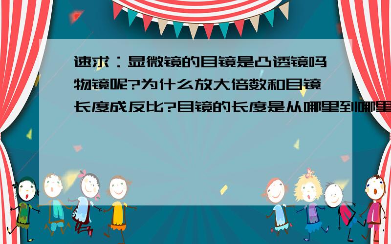 速求：显微镜的目镜是凸透镜吗物镜呢?为什么放大倍数和目镜长度成反比?目镜的长度是从哪里到哪里