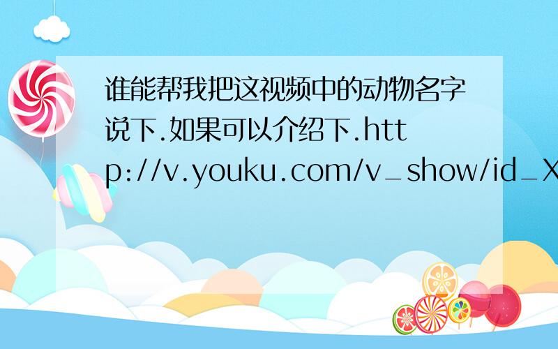 谁能帮我把这视频中的动物名字说下.如果可以介绍下.http://v.youku.com/v_show/id_XMjQwNzMwNzQ4.html