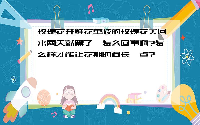 玫瑰花开鲜花单枝的玫瑰花买回来两天就黑了,怎么回事啊?怎么样才能让花期时间长一点?