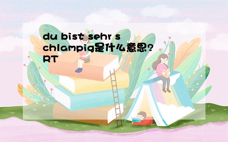 du bist sehr schlampig是什么意思?RT