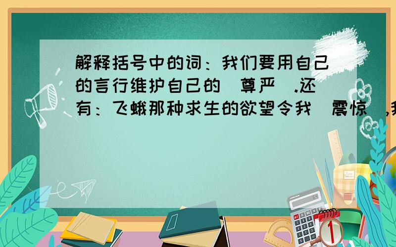 解释括号中的词：我们要用自己的言行维护自己的（尊严）.还有：飞蛾那种求生的欲望令我（震惊）,我忍不住放了它.