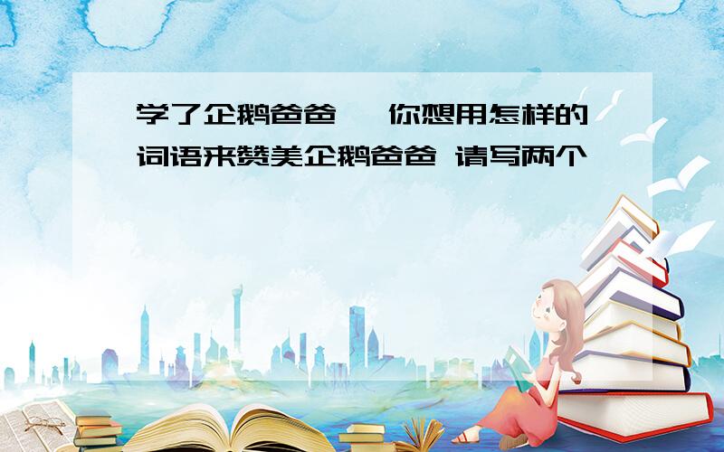 学了企鹅爸爸 ,你想用怎样的词语来赞美企鹅爸爸 请写两个