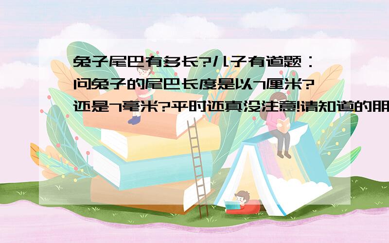 兔子尾巴有多长?儿子有道题：问兔子的尾巴长度是以7厘米?还是7毫米?平时还真没注意!请知道的朋友指教!