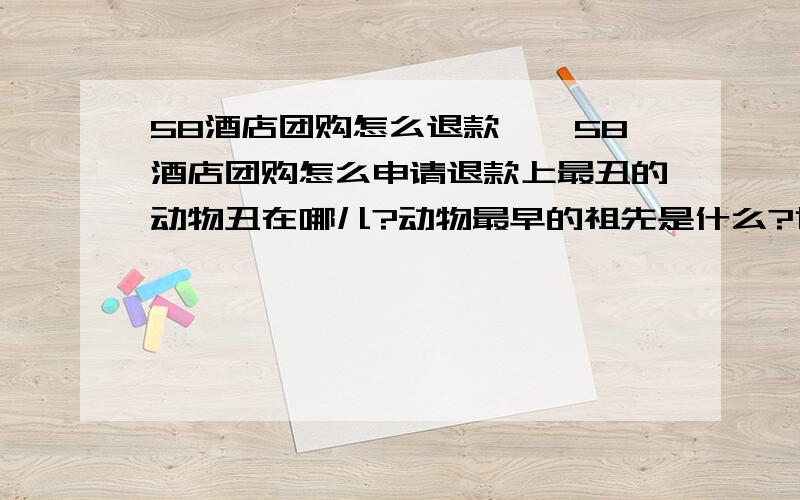 58酒店团购怎么退款≠◇58酒店团购怎么申请退款上最丑的动物丑在哪儿?动物最早的祖先是什么?世界上最小的动物有多小?